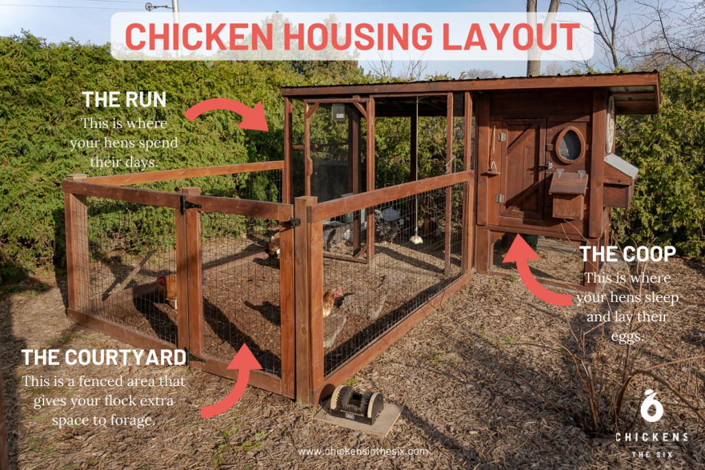 Chicken coop should include a coop, the run, and a courtyard for hens to have extra space.